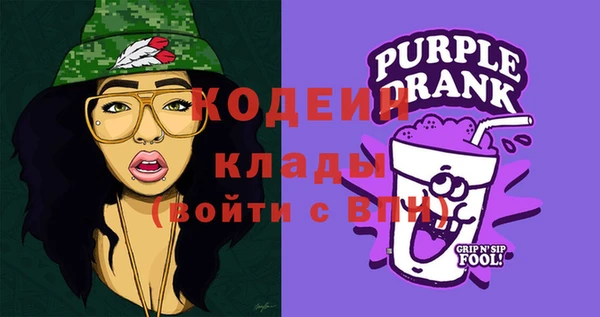 крисы Ельня
