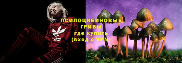 крисы Ельня