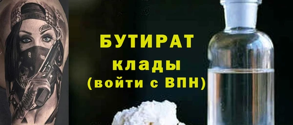 крисы Ельня
