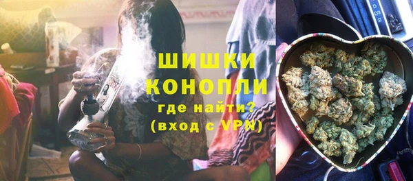 крисы Ельня