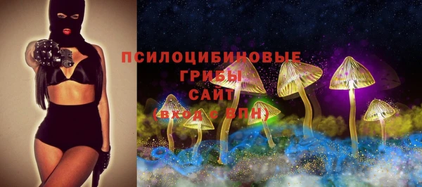 стафф Дмитров