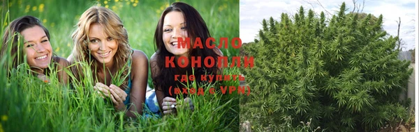 крисы Ельня