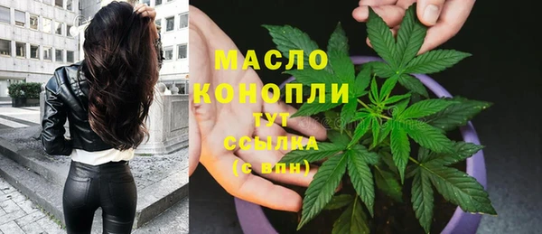 МДПВ Елабуга