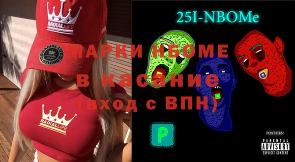 крисы Ельня