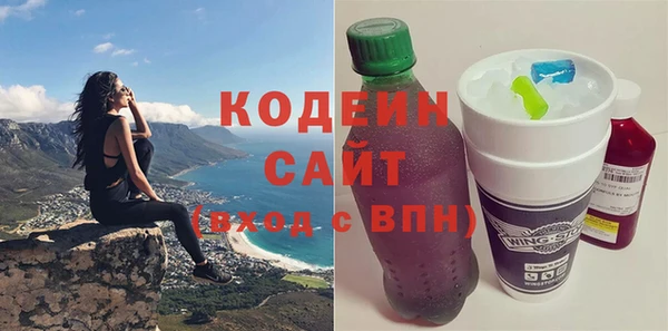 крисы Ельня