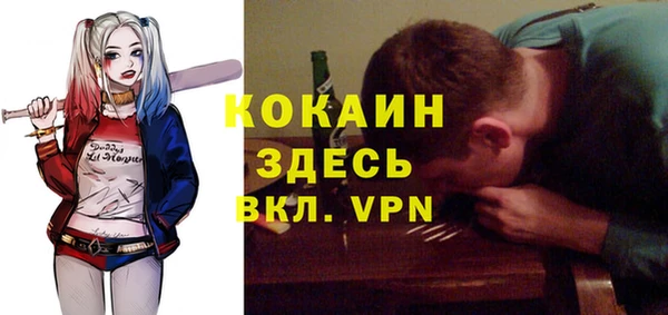 крисы Ельня